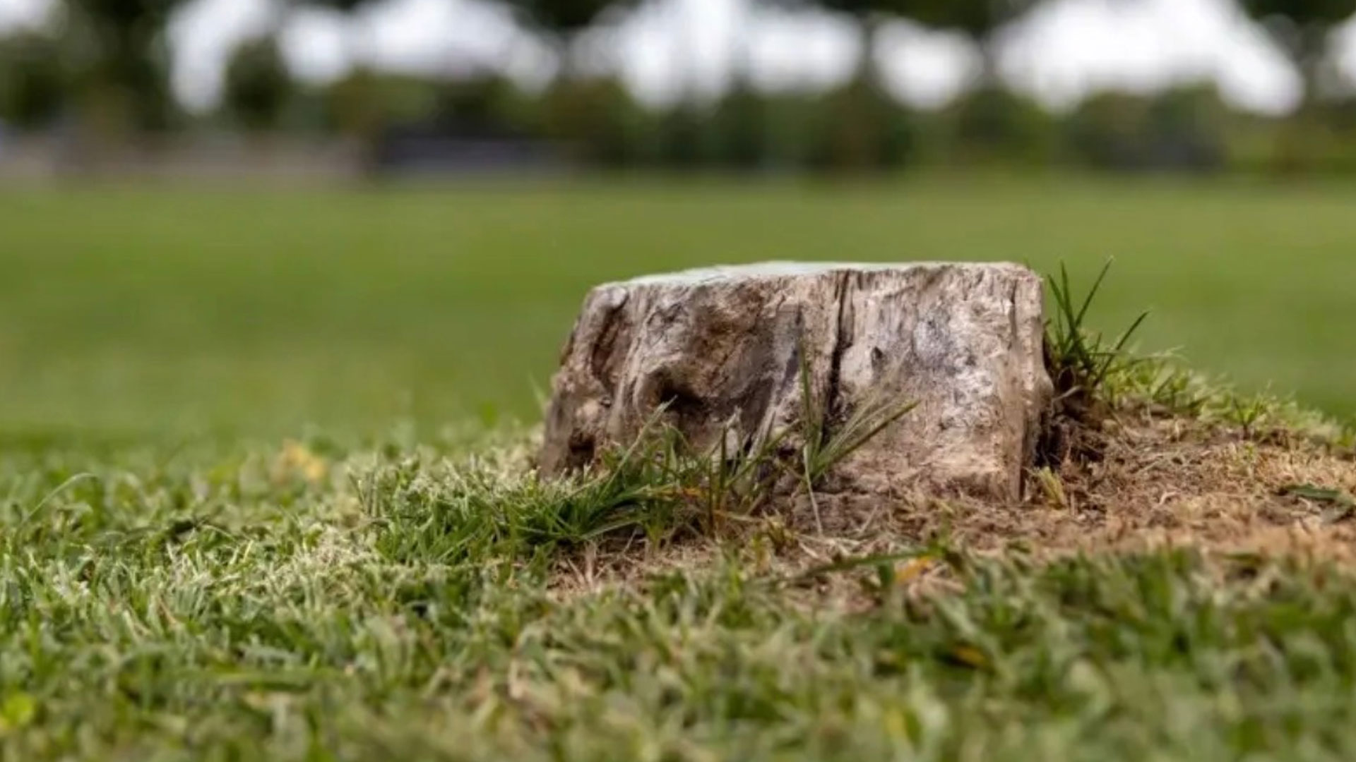 Stump And Grind LLC Banner