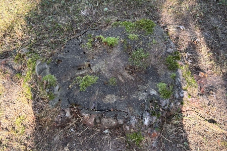 Demo Project Thumbnail